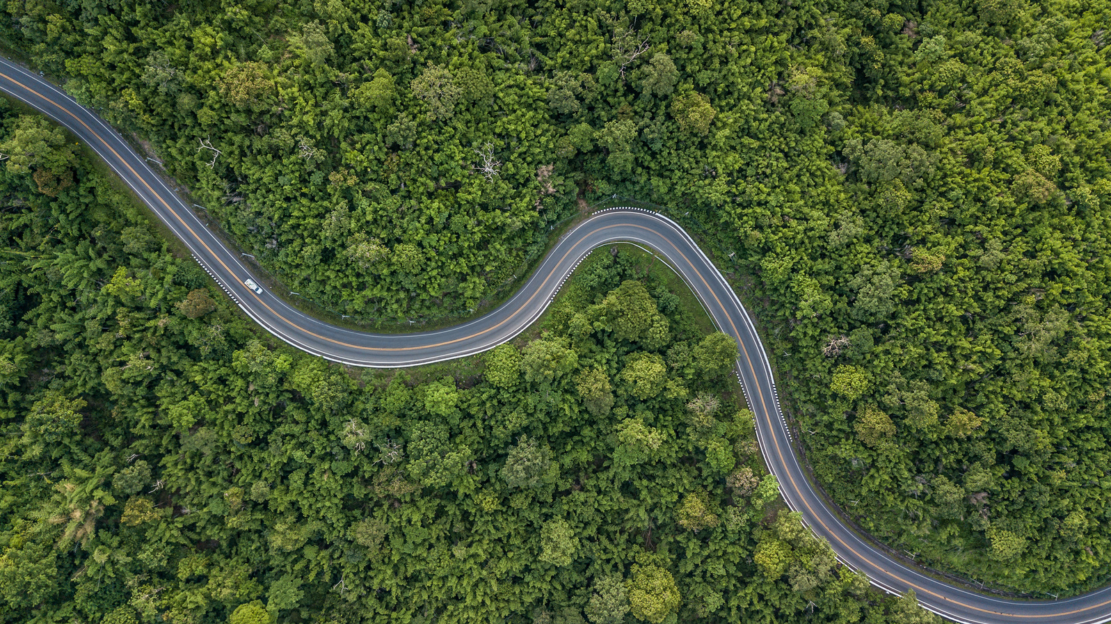 Aerial view of forest road at South East Asia, Aerial view of a provincial road passing through a forest, Thailand.